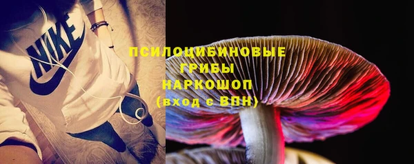 молекула духа Корсаков