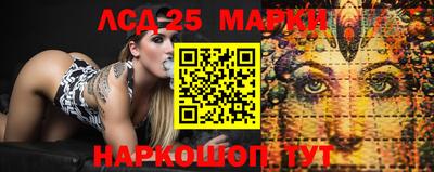 скорость Дубна