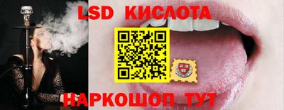 гашик Донецк