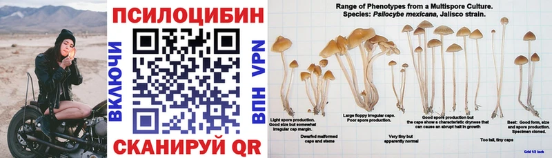 купить наркоту  Коркино  Галлюциногенные грибы мицелий 